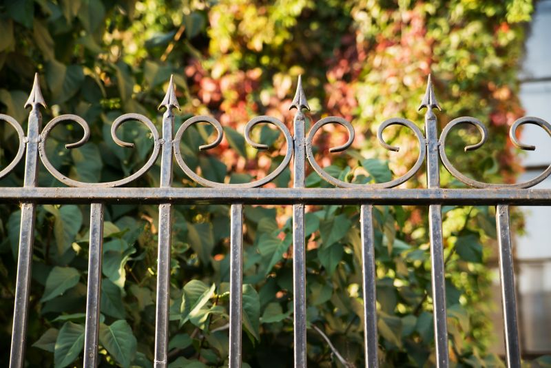 Wrought Iron Fence Cleaning